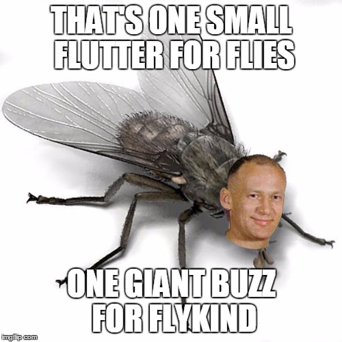 THAT'S ONE SMALL FLUTTER FOR FLIES ONE GIANT BUZZ FOR FLYKIND | image tagged in buzz | made w/ Imgflip meme maker