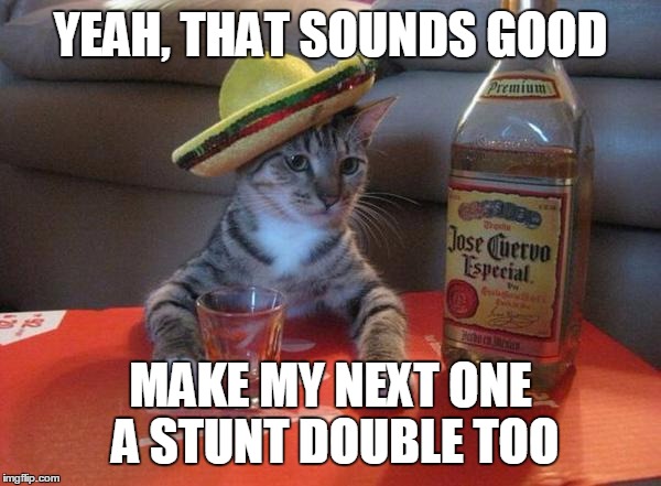 YEAH, THAT SOUNDS GOOD MAKE MY NEXT ONE A STUNT DOUBLE TOO | image tagged in make mine a double | made w/ Imgflip meme maker