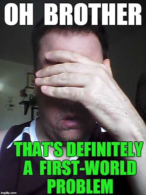 OH  BROTHER THAT'S DEFINITELY A  FIRST-WORLD PROBLEM | made w/ Imgflip meme maker