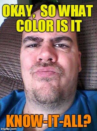 Scowl | OKAY,  SO WHAT COLOR IS IT KNOW-IT-ALL? | image tagged in scowl | made w/ Imgflip meme maker