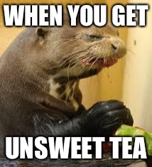 Disgusted Otter |  WHEN YOU GET; UNSWEET TEA | image tagged in disgusted otter | made w/ Imgflip meme maker