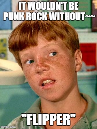 That kid from flipper | IT WOULDN'T BE PUNK ROCK WITHOUT~~; "FLIPPER" | image tagged in that kid from flipper | made w/ Imgflip meme maker