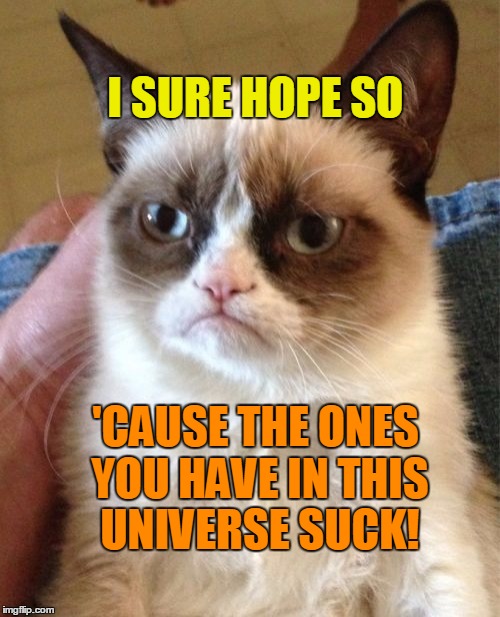 Grumpy Cat Meme | I SURE HOPE SO 'CAUSE THE ONES YOU HAVE IN THIS UNIVERSE SUCK! | image tagged in memes,grumpy cat | made w/ Imgflip meme maker