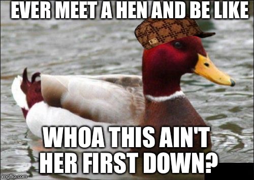 Malicious Advice Mallard | EVER MEET A HEN AND BE LIKE; WHOA THIS AIN'T HER FIRST DOWN? | image tagged in memes,malicious advice mallard,scumbag | made w/ Imgflip meme maker