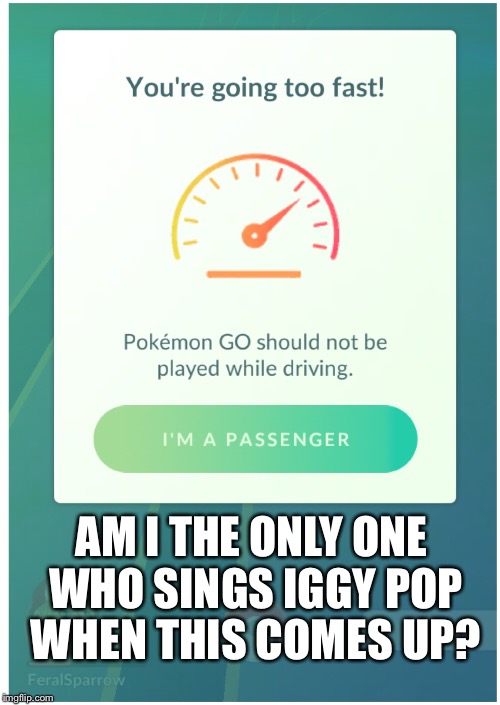 I am the passenger, and I ride and I ride... | AM I THE ONLY ONE WHO SINGS IGGY POP WHEN THIS COMES UP? | image tagged in iggy pop,pokemon,pokemon go,driving | made w/ Imgflip meme maker