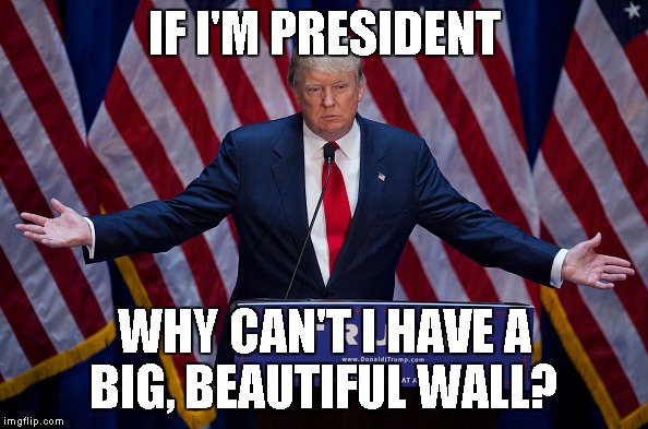 Donald Trump | IF I'M PRESIDENT; WHY CAN'T I HAVE A BIG, BEAUTIFUL WALL? | image tagged in donald trump | made w/ Imgflip meme maker