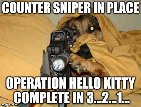 COUNTER SNIPER IN PLACE OPERATION HELLO KITTY COMPLETE IN 3...2...1... | image tagged in sniper dog | made w/ Imgflip meme maker