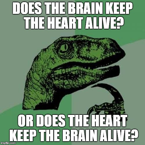 Philosoraptor | DOES THE BRAIN KEEP THE HEART ALIVE? OR DOES THE HEART KEEP THE BRAIN ALIVE? | image tagged in memes,philosoraptor | made w/ Imgflip meme maker