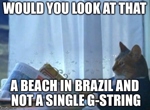 I Should Buy A Boat Cat | WOULD YOU LOOK AT THAT; A BEACH IN BRAZIL AND NOT A SINGLE G-STRING | image tagged in memes,i should buy a boat cat | made w/ Imgflip meme maker