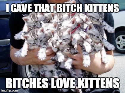 image tagged in funny,kittens,cats | made w/ Imgflip meme maker