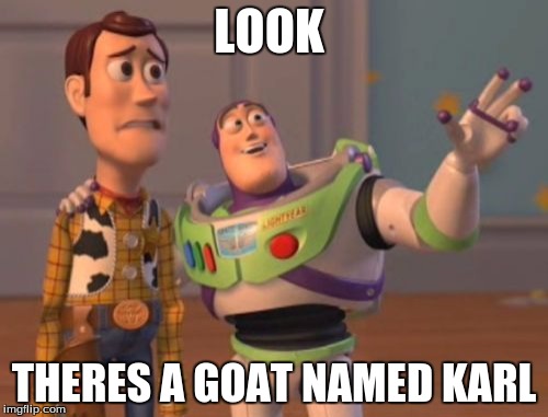 X, X Everywhere Meme | LOOK; THERES A GOAT NAMED KARL | image tagged in memes,x x everywhere | made w/ Imgflip meme maker