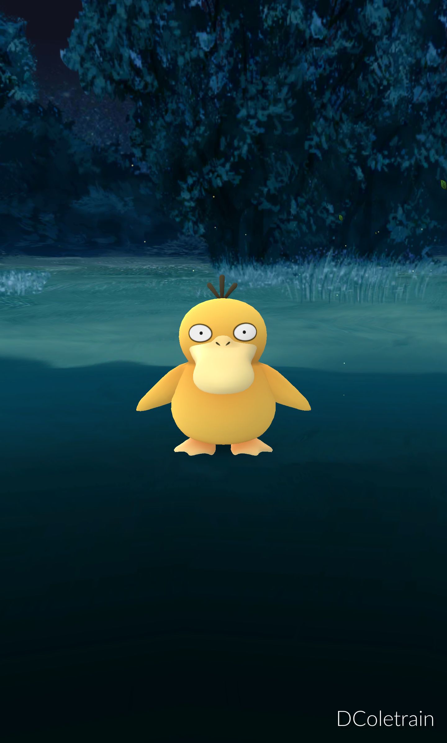 Sexy Psyduck