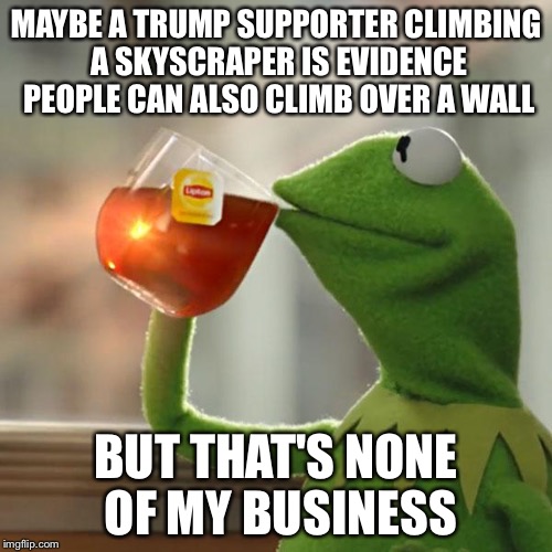 But That's None Of My Business | MAYBE A TRUMP SUPPORTER CLIMBING A SKYSCRAPER IS EVIDENCE PEOPLE CAN ALSO CLIMB OVER A WALL; BUT THAT'S NONE OF MY BUSINESS | image tagged in memes,but thats none of my business,kermit the frog,AdviceAnimals | made w/ Imgflip meme maker