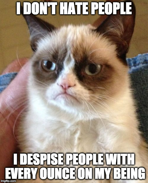 Grumpy Cat Meme | I DON'T HATE PEOPLE; I DESPISE PEOPLE WITH EVERY OUNCE ON MY BEING | image tagged in memes,grumpy cat | made w/ Imgflip meme maker