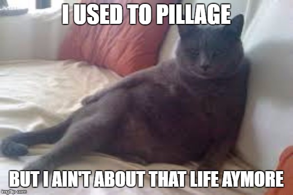 I USED TO PILLAGE BUT I AIN'T ABOUT THAT LIFE AYMORE | made w/ Imgflip meme maker