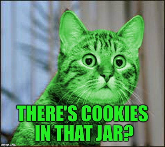 RayCat WTF | THERE'S COOKIES IN THAT JAR? | image tagged in raycat wtf | made w/ Imgflip meme maker