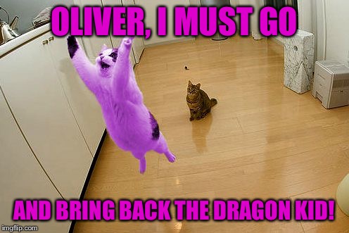 RayCat save the world | OLIVER, I MUST GO AND BRING BACK THE DRAGON KID! | image tagged in raycat save the world | made w/ Imgflip meme maker