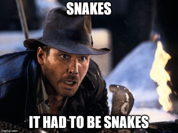 SNAKES IT HAD TO BE SNAKES | image tagged in indiana jones,it had to be snakes | made w/ Imgflip meme maker