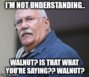 Bailbonds | I'M NOT UNDERSTANDING.. WALNUT? IS THAT WHAT YOU'RE SAYING?? WALNUT? | image tagged in bailbonds | made w/ Imgflip meme maker