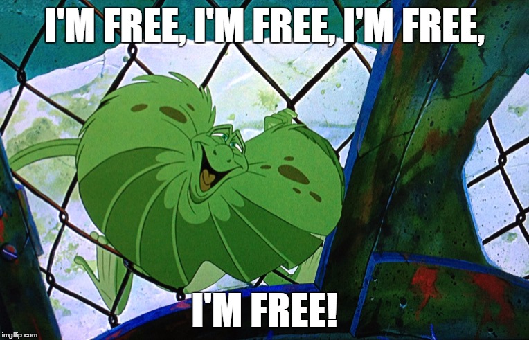 Free Frank | I'M FREE, I'M FREE, I'M FREE, I'M FREE! | image tagged in frank,freedom,relief,celebration | made w/ Imgflip meme maker