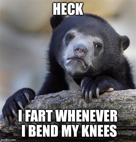 Confession Bear Meme | HECK I FART WHENEVER I BEND MY KNEES | image tagged in memes,confession bear | made w/ Imgflip meme maker