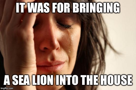 First World Problems Meme | IT WAS FOR BRINGING A SEA LION INTO THE HOUSE | image tagged in memes,first world problems | made w/ Imgflip meme maker