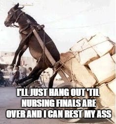 Go to nursing school they said...it'll be worth it one day, they said | I'LL JUST HANG OUT 'TIL NURSING FINALS ARE OVER AND I CAN REST MY ASS | image tagged in overloaded donkey | made w/ Imgflip meme maker