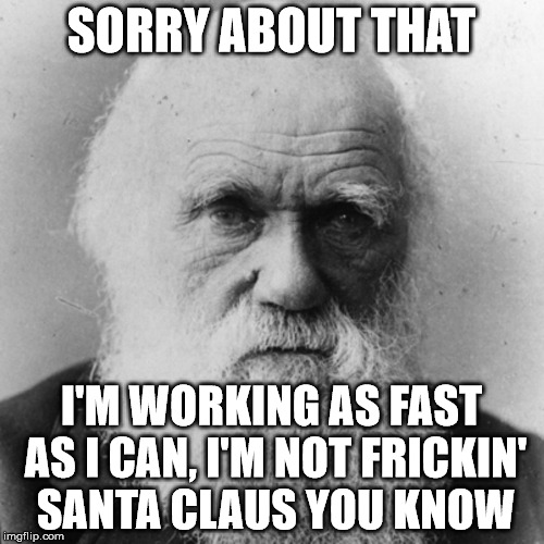 SORRY ABOUT THAT I'M WORKING AS FAST AS I CAN, I'M NOT FRICKIN' SANTA CLAUS YOU KNOW | image tagged in darwin | made w/ Imgflip meme maker
