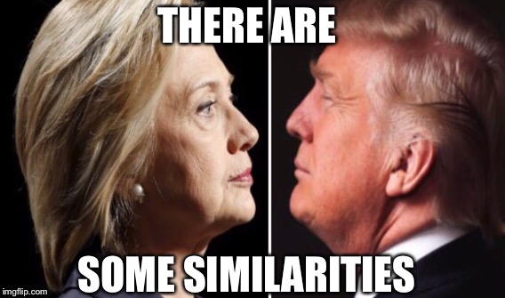 THERE ARE SOME SIMILARITIES | made w/ Imgflip meme maker