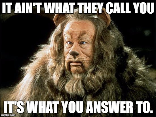 cowardly lion | IT AIN'T WHAT THEY CALL YOU; IT'S WHAT YOU ANSWER TO. | image tagged in cowardly lion | made w/ Imgflip meme maker