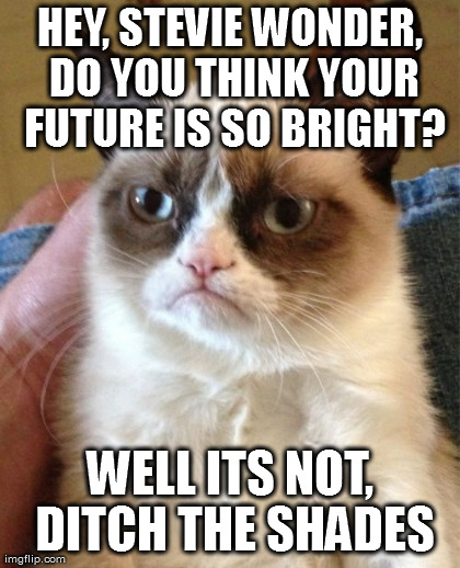 Grumpy Cat Meme | HEY, STEVIE WONDER, DO YOU THINK YOUR FUTURE IS SO BRIGHT? WELL ITS NOT, DITCH THE SHADES | image tagged in memes,grumpy cat | made w/ Imgflip meme maker