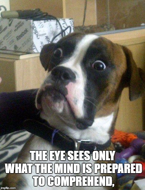 Blankie the Shocked Dog | THE EYE SEES ONLY WHAT THE MIND IS PREPARED TO COMPREHEND, | image tagged in blankie the shocked dog | made w/ Imgflip meme maker