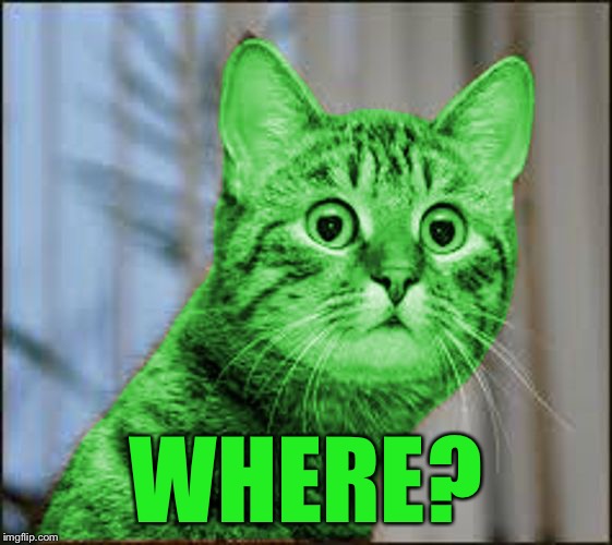 RayCat WTF | WHERE? | image tagged in raycat wtf | made w/ Imgflip meme maker