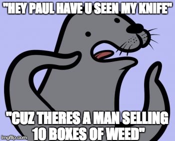 Homophobic seal | "HEY PAUL HAVE U SEEN MY KNIFE"; "CUZ THERES A MAN SELLING 10 BOXES OF WEED" | image tagged in homophobic seal,meme,seal,animated | made w/ Imgflip meme maker