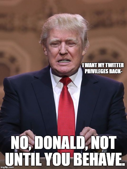Trump is Not Getting to Tweet as Much as Used to Do | I WANT MY TWITTER PRIVILEGES BACK-; NO, DONALD, NOT UNTIL YOU BEHAVE. | image tagged in donald trump,twitter,trump,loserdonald,angry baby | made w/ Imgflip meme maker