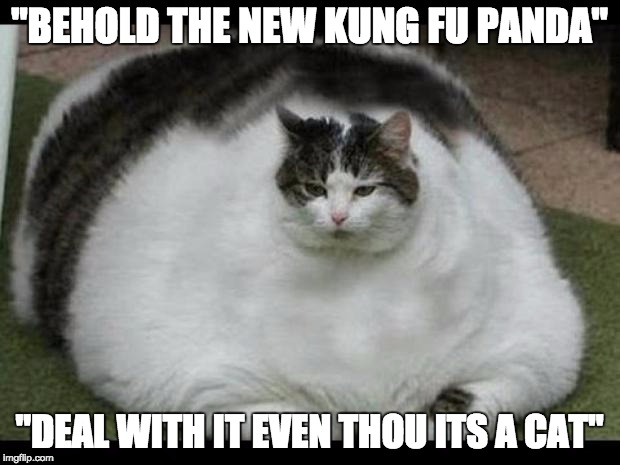 fat cat 2 | "BEHOLD THE NEW KUNG FU PANDA"; "DEAL WITH IT EVEN THOU ITS A CAT" | image tagged in fat cat 2,meme,cat | made w/ Imgflip meme maker