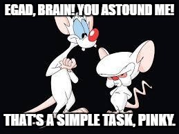 Pinky and the Brain | EGAD, BRAIN! YOU ASTOUND ME! THAT'S A SIMPLE TASK, PINKY. | image tagged in pinky and the brain | made w/ Imgflip meme maker