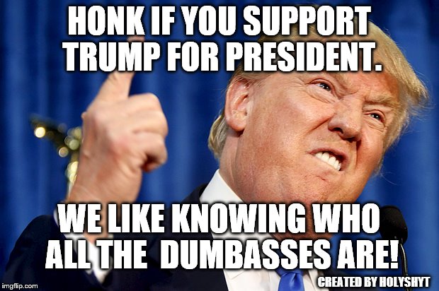 Donald Trump | HONK IF YOU SUPPORT TRUMP FOR PRESIDENT. WE LIKE KNOWING WHO ALL THE  DUMBASSES ARE! CREATED BY HOLYSHYT | image tagged in donald trump | made w/ Imgflip meme maker