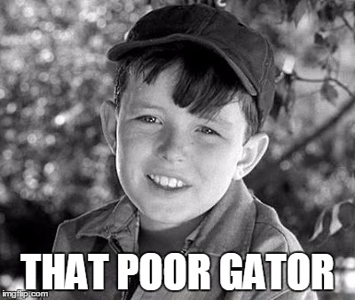 THAT POOR GATOR | image tagged in beave | made w/ Imgflip meme maker