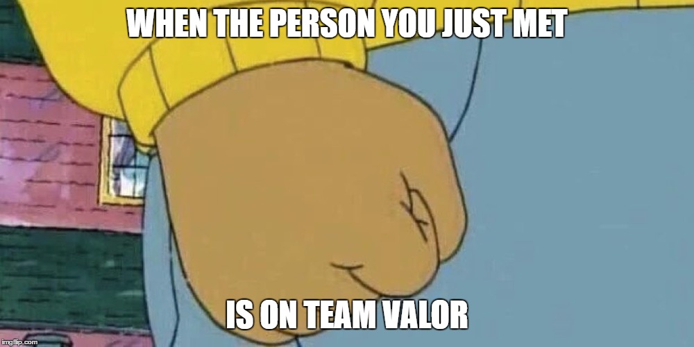WHEN THE PERSON YOU JUST MET; IS ON TEAM VALOR | image tagged in valor,arthur | made w/ Imgflip meme maker