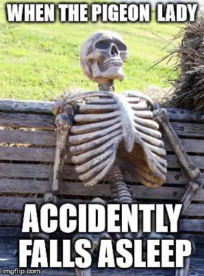 Waiting Skeleton | WHEN THE PIGEON  LADY; ACCIDENTLY FALLS ASLEEP | image tagged in memes,waiting skeleton | made w/ Imgflip meme maker