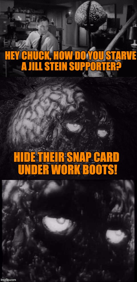 I don't mind a hand up, I do mind professional welfare cheats. | HEY CHUCK, HOW DO YOU STARVE A JILL STEIN SUPPORTER? HIDE THEIR SNAP CARD UNDER WORK BOOTS! | image tagged in brian and chuck | made w/ Imgflip meme maker