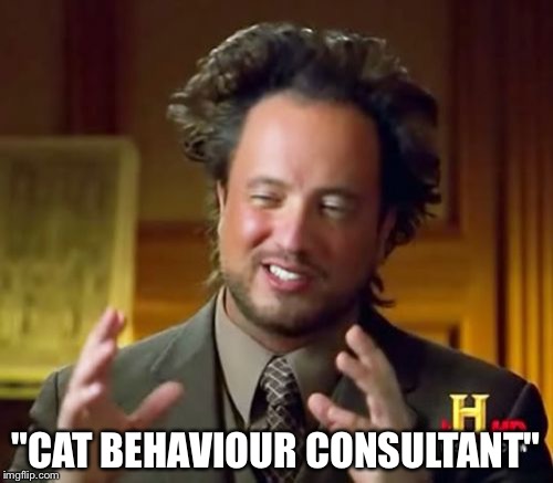 Ancient Aliens | "CAT BEHAVIOUR CONSULTANT" | image tagged in memes,ancient aliens | made w/ Imgflip meme maker