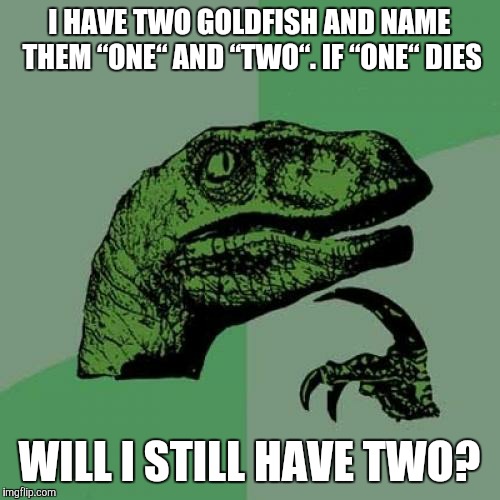 Philosoraptor | I HAVE TWO GOLDFISH AND NAME THEM “ONE“ AND “TWO“. IF “ONE“ DIES; WILL I STILL HAVE TWO? | image tagged in memes,philosoraptor | made w/ Imgflip meme maker
