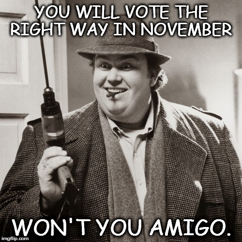 Uncle buck | YOU WILL VOTE THE RIGHT WAY IN NOVEMBER; WON'T YOU AMIGO. | image tagged in uncle buck | made w/ Imgflip meme maker