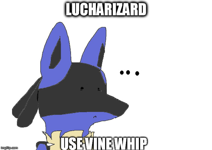 omfg dafq you doin | LUCHARIZARD; USE VINE WHIP | image tagged in omfg dafq you doin | made w/ Imgflip meme maker