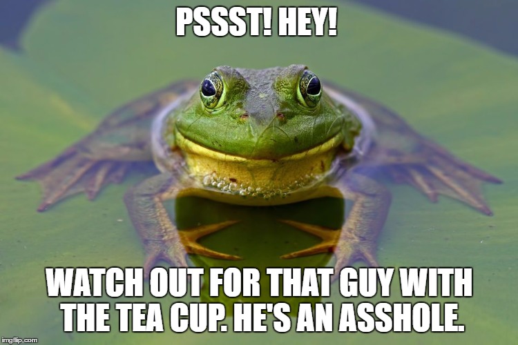 PSSST! HEY! WATCH OUT FOR THAT GUY WITH THE TEA CUP. HE'S AN ASSHOLE. | image tagged in kermit,frog | made w/ Imgflip meme maker