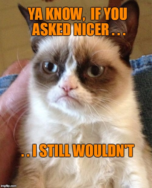 Grumpy Cat Meme | YA KNOW,  IF YOU ASKED NICER . . . . . I STILL WOULDN'T | image tagged in memes,grumpy cat | made w/ Imgflip meme maker