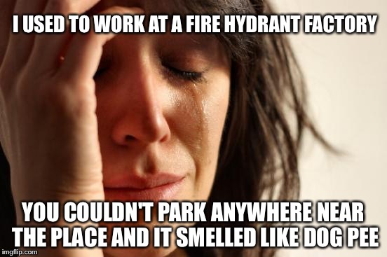 First World Problems | I USED TO WORK AT A FIRE HYDRANT FACTORY; YOU COULDN'T PARK ANYWHERE NEAR THE PLACE AND IT SMELLED LIKE DOG PEE | image tagged in memes,first world problems | made w/ Imgflip meme maker