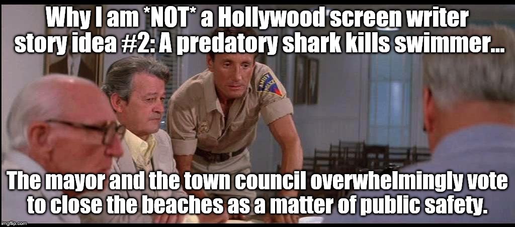 Why I'm not a Hollywood screen writer #2 | Why I am *NOT* a Hollywood screen writer story idea #2: A predatory shark kills swimmer... The mayor and the town council overwhelmingly vote to close the beaches as a matter of public safety. | image tagged in jaws | made w/ Imgflip meme maker